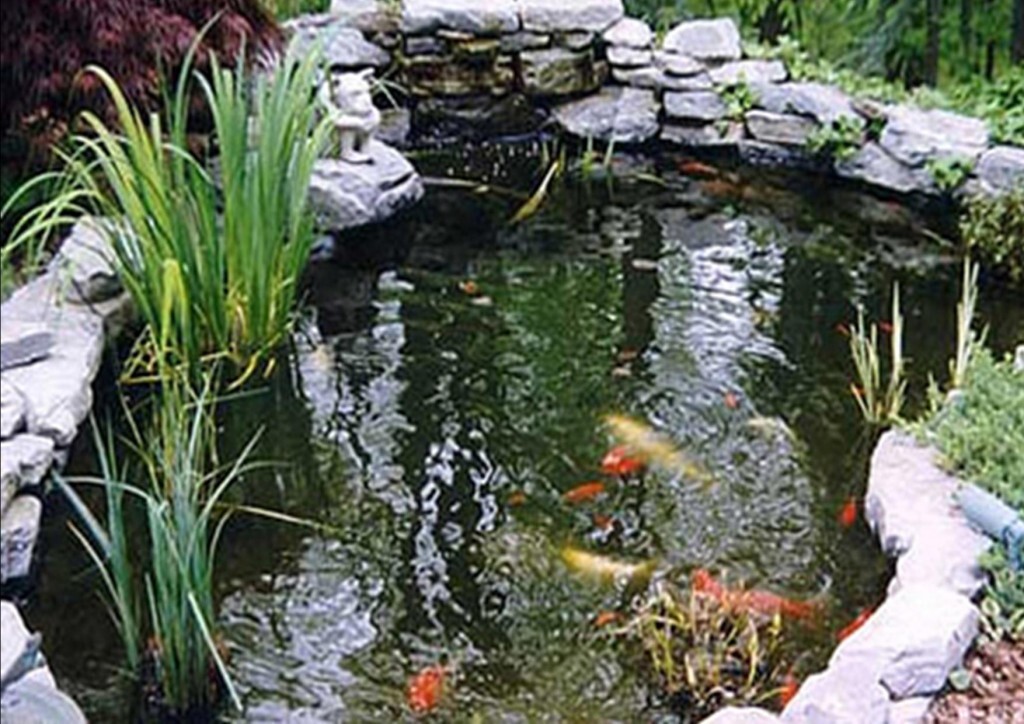 jardín feng shui
